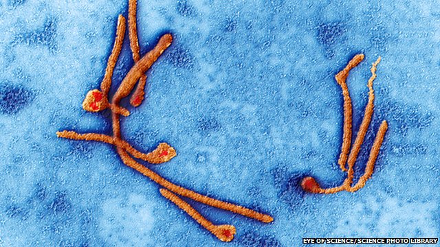 Ebola: Another Disease?
