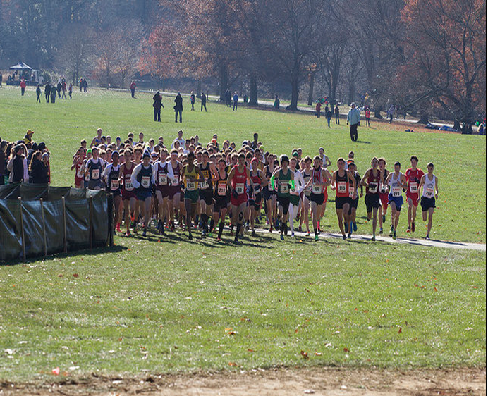 Cross-Country Team Runs Well at Meet of Champions