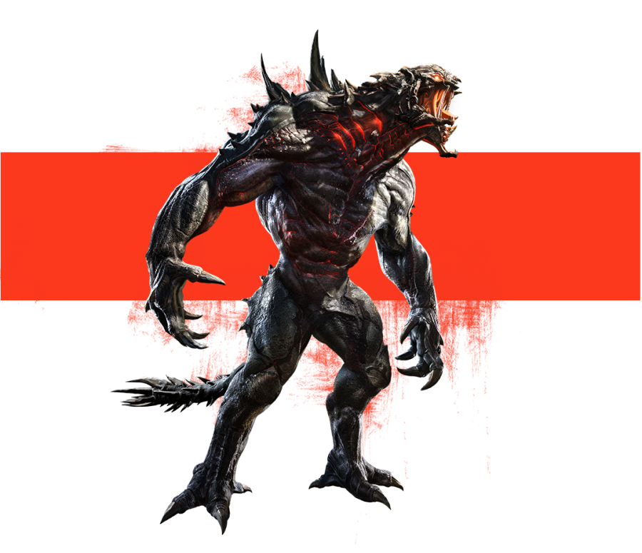 Evolve Review