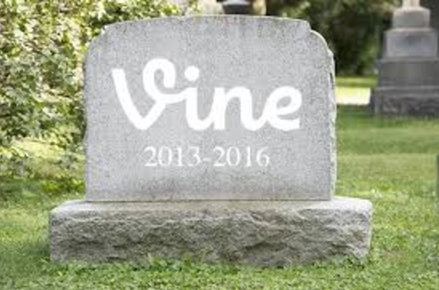 The+Shutdown+of+Vine