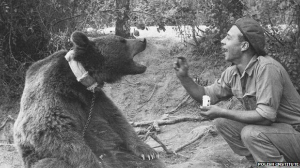 A Polish soldier enjoys his time with his fellow soldier Wojtek.