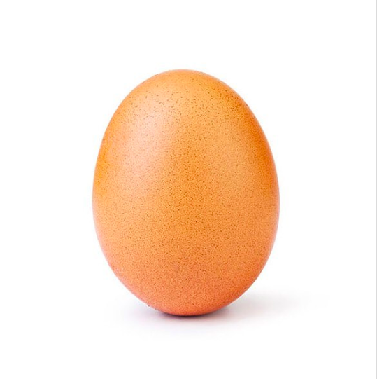 The Egg that Took the World by Storm