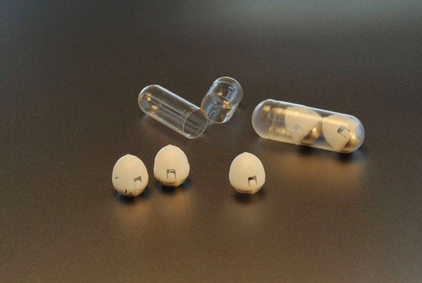 Insulin Ingestion Through Capsules