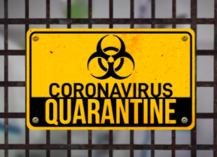 My Life in Quarantine