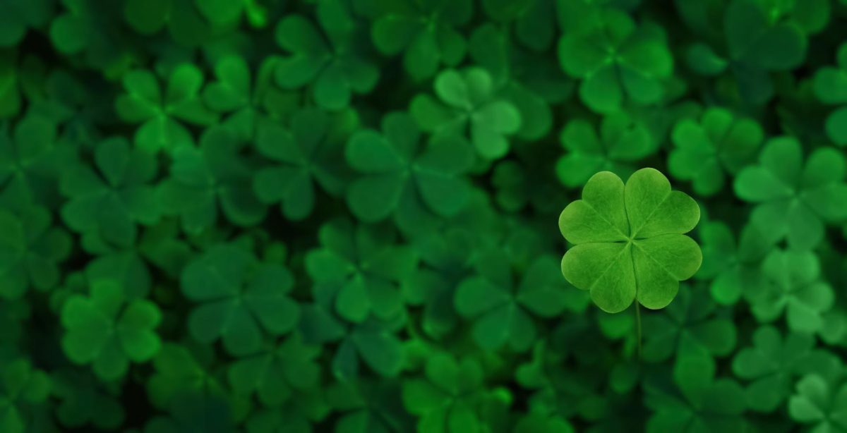 Image from ShutterStock